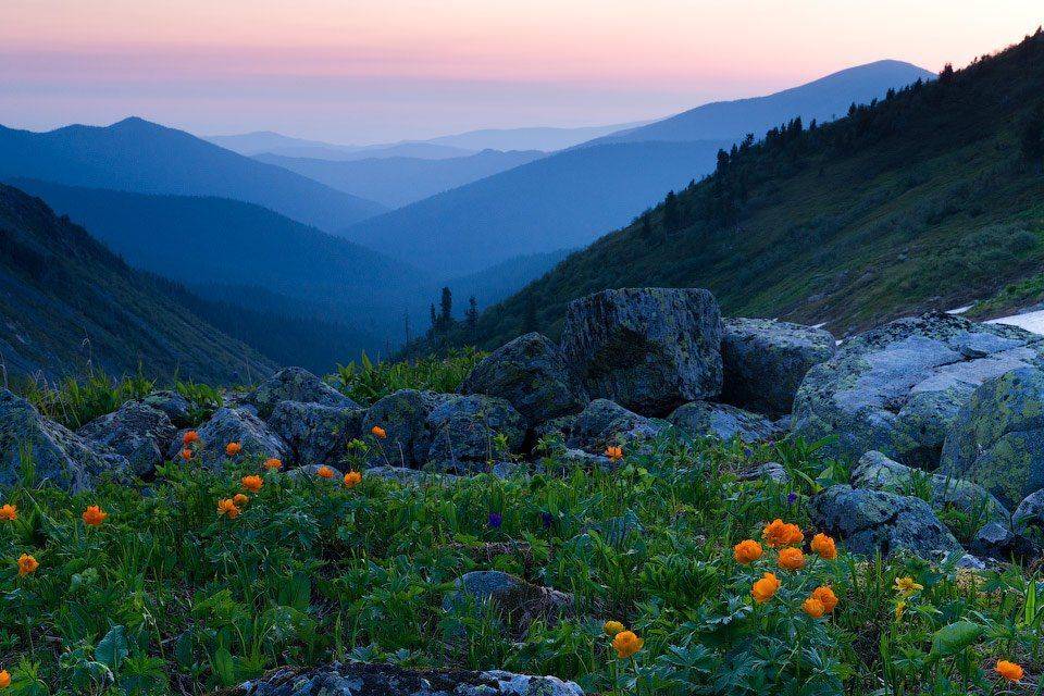 ергаки, саяны, жарки, Алексей Харитонов