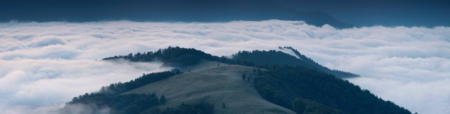 , Денис Кривой