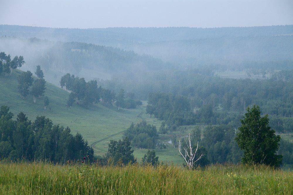 , Николай Морский