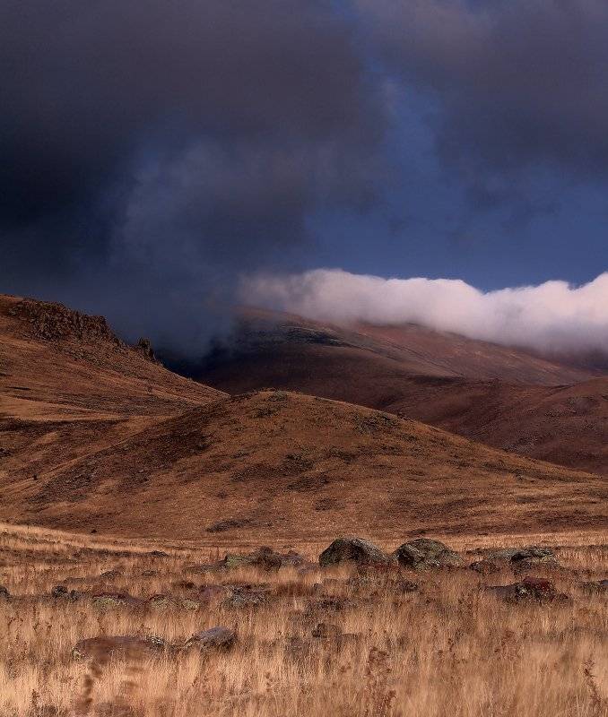 , Гамидов Мурад