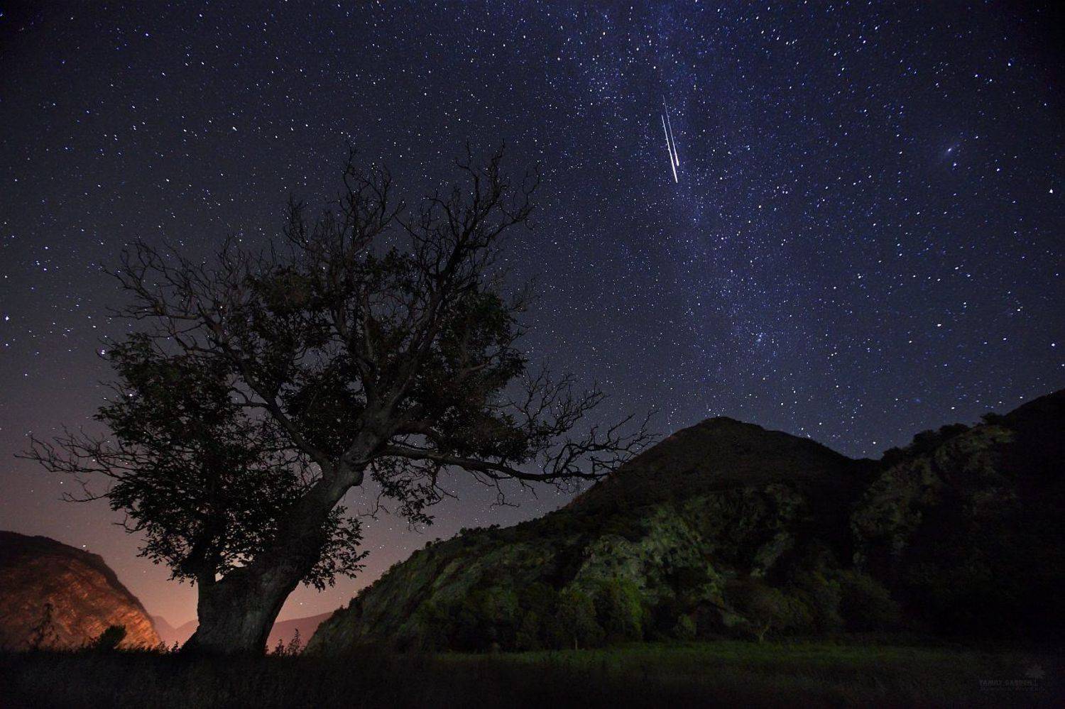 andorra, club26, comets, family garden, juliart5, Lost in the Stars, milky way, primorye, sky, spain, stars, tree, vint26, Zaporozhenko vitaly & julia, Запороженко Виталий и Юлия