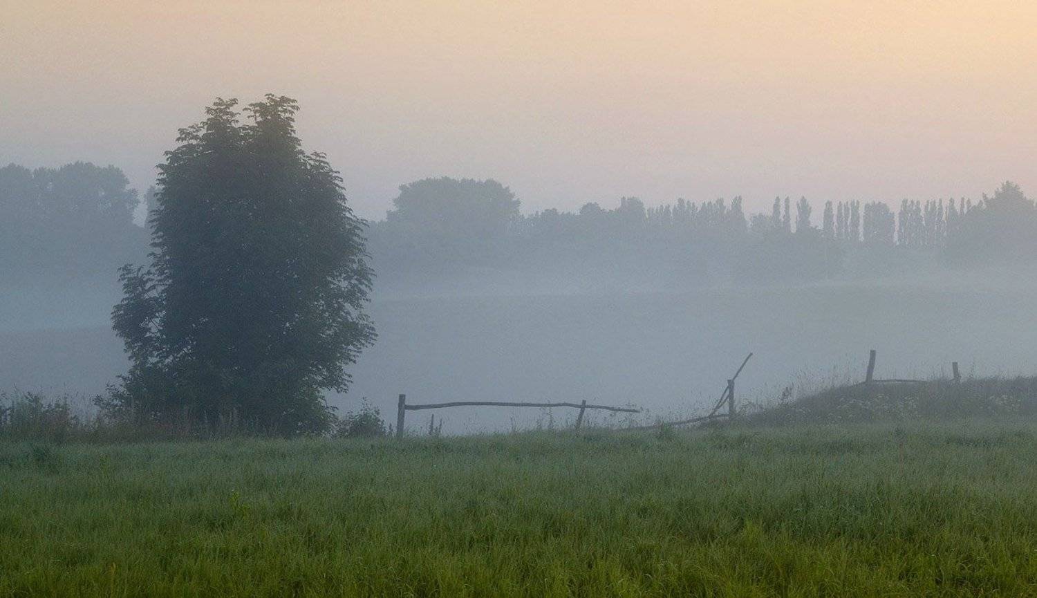 , Александр