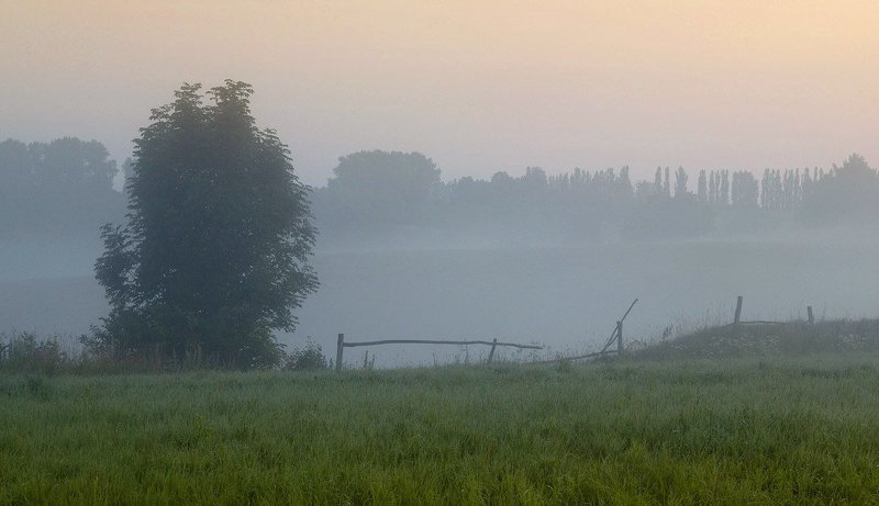 Триколор фото превью