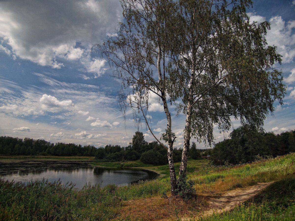 , Владимир Перепечаев