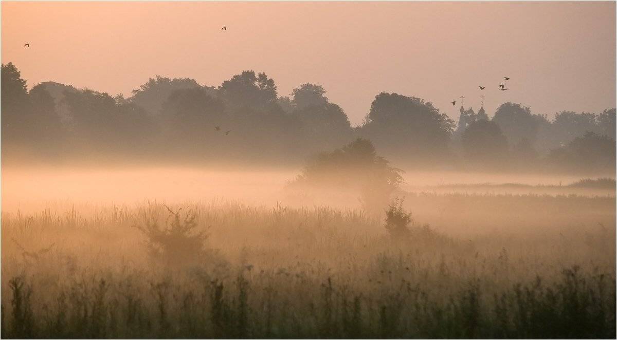 , Николай Шахманцир