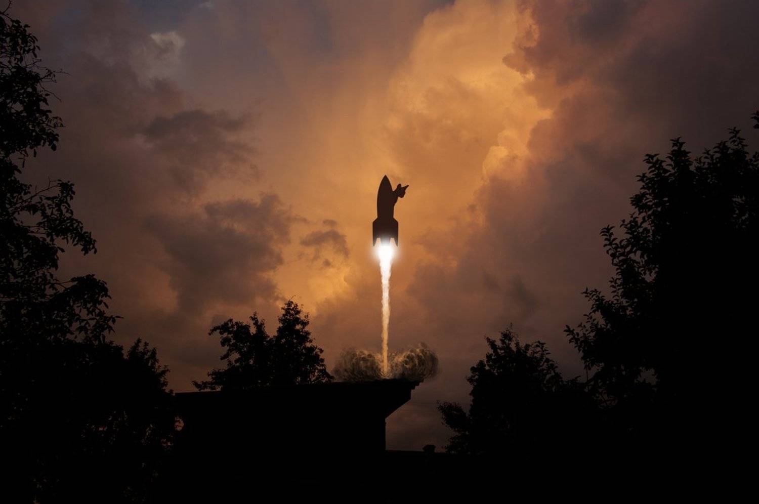 кот, ракета, полет, Миронов Сергей