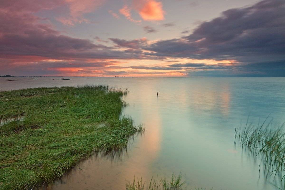 , Евгений Кондрашков