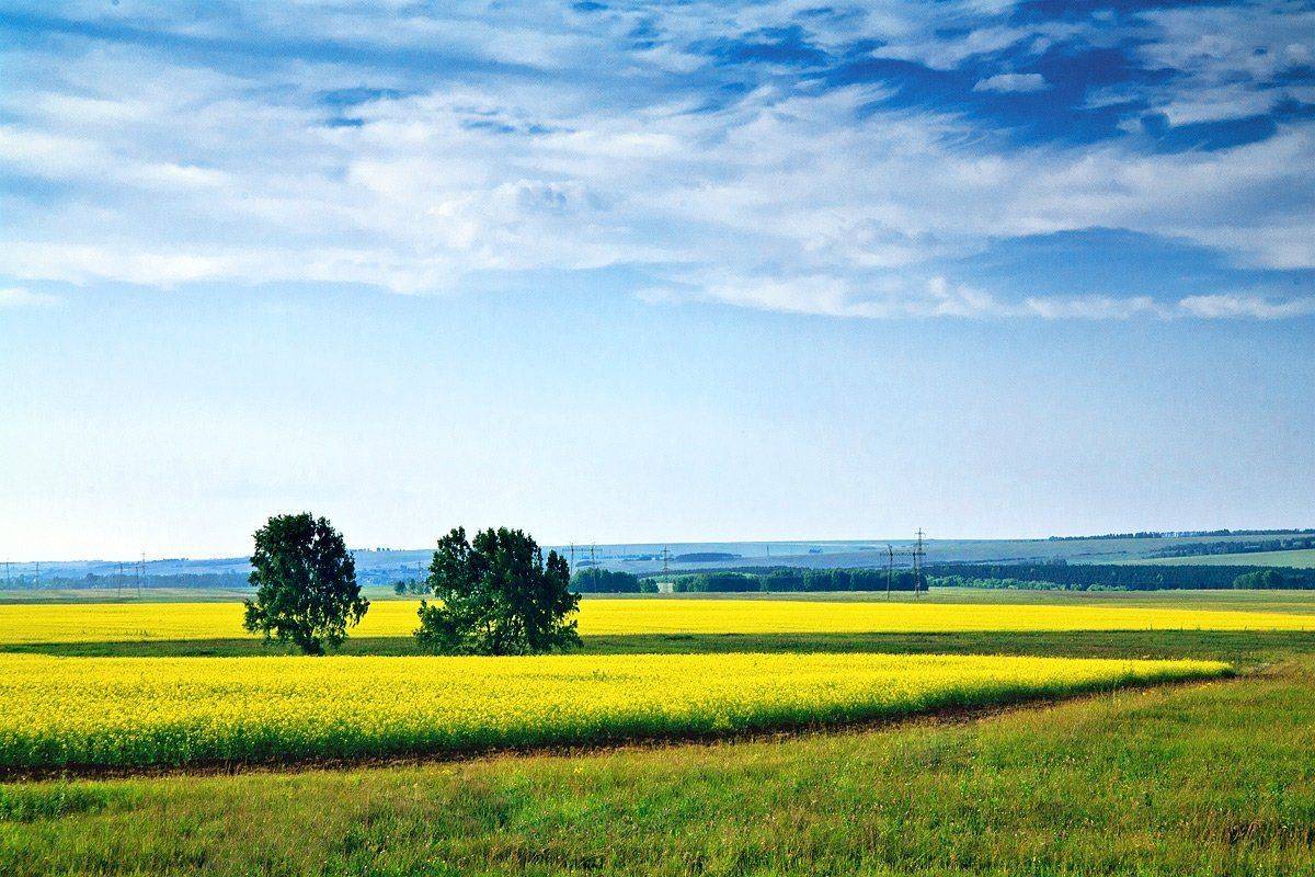 , Сергей Белявцев