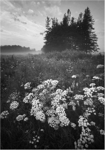 Такие короткие белые ночи