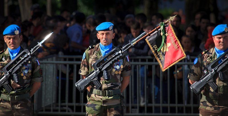 французские берсерки фото превью