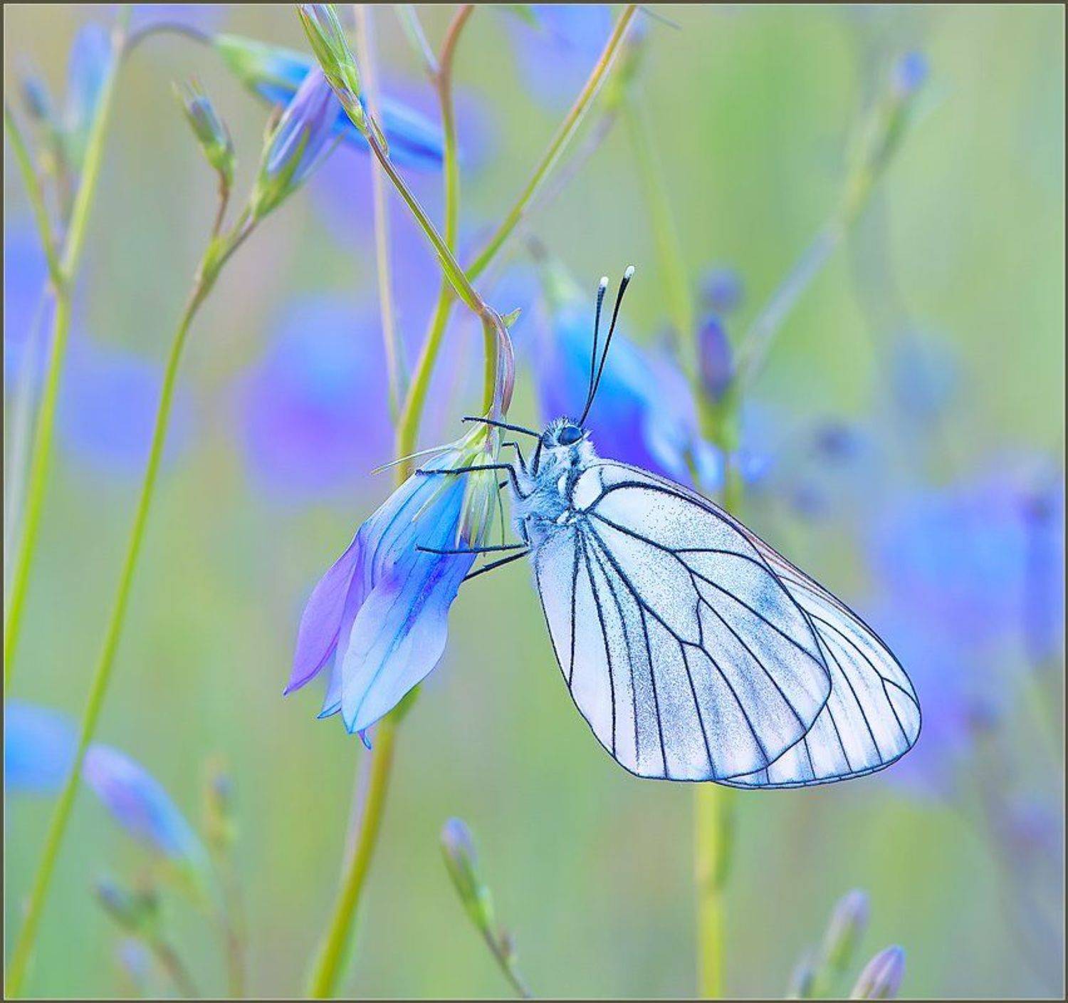 , Евгений Кирилкин.
