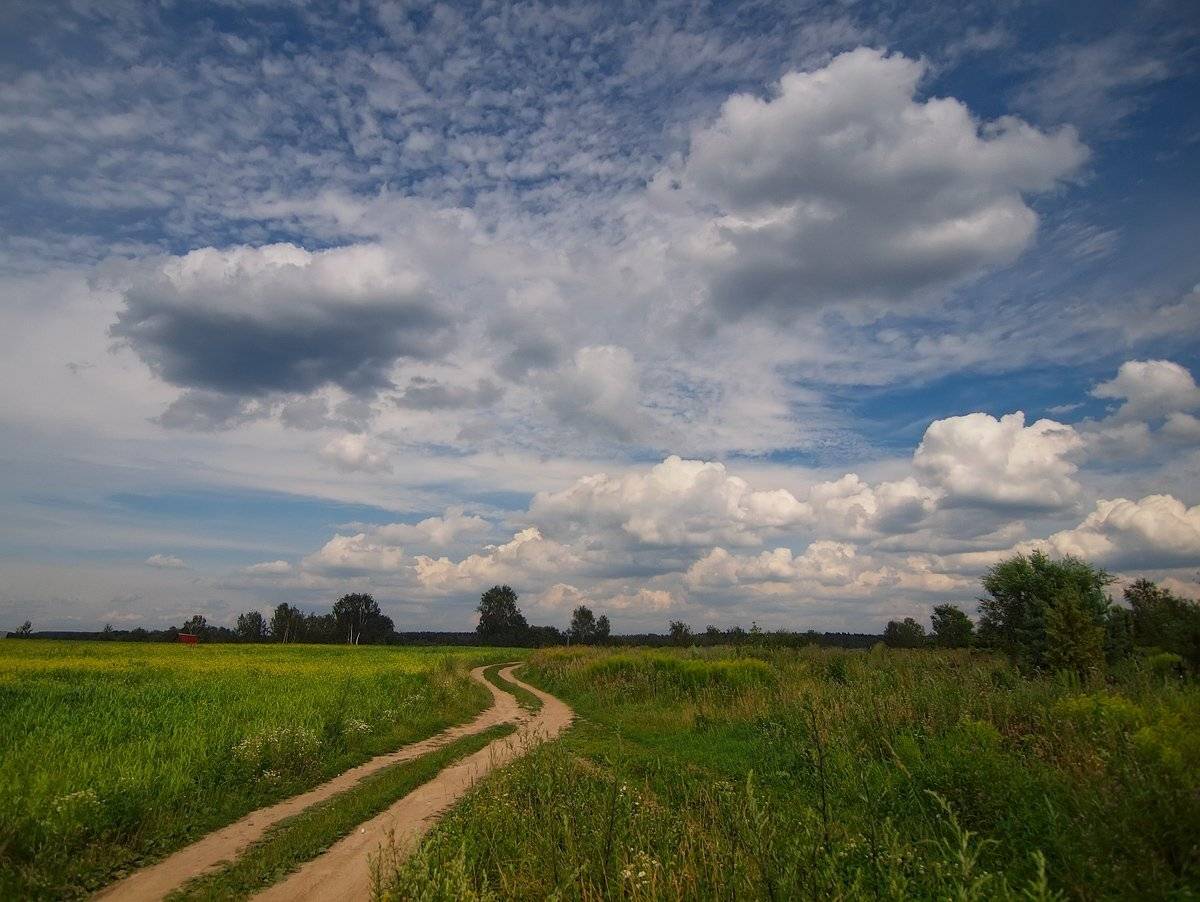 , Владимир Перепечаев