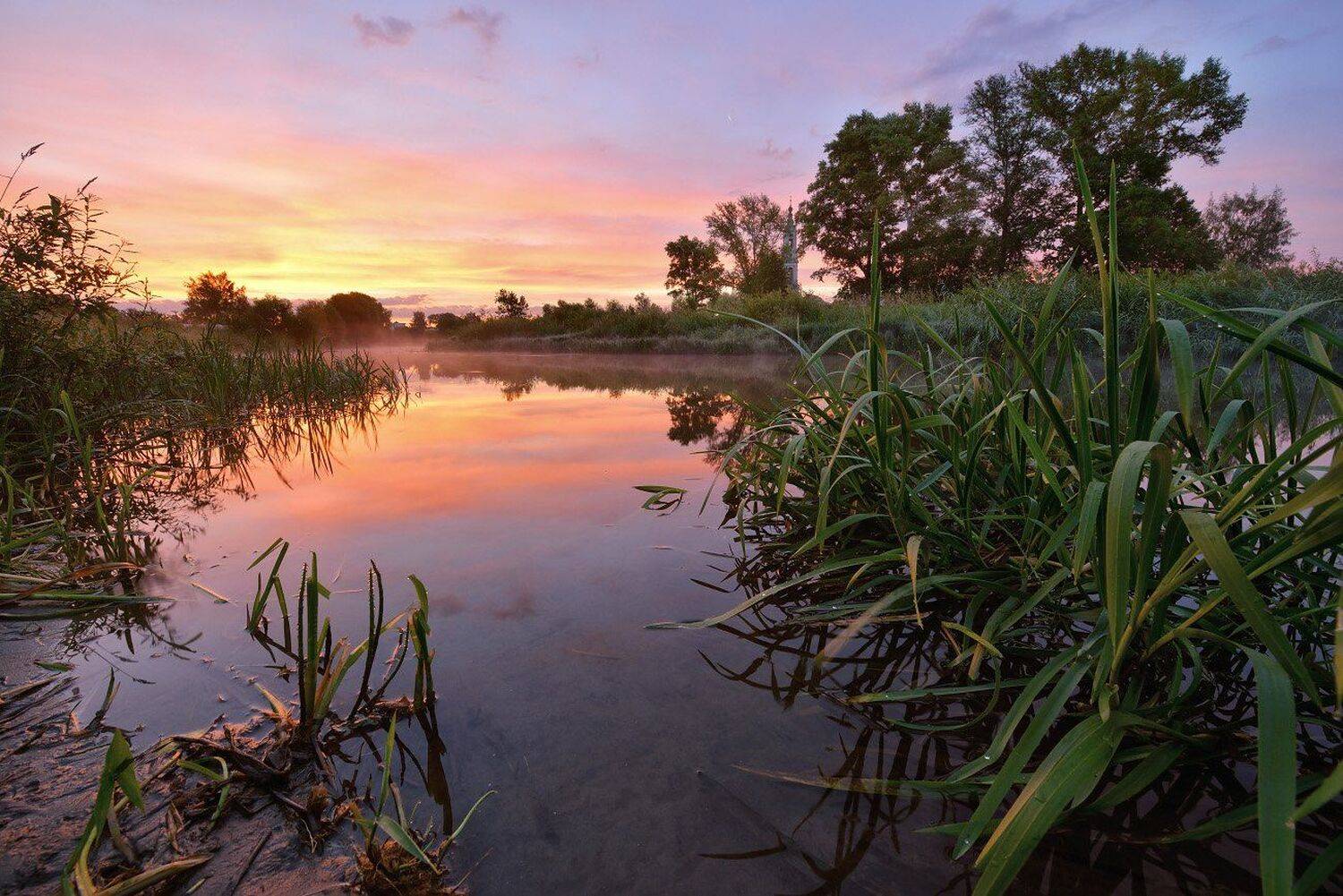 , Максим Евдокимов