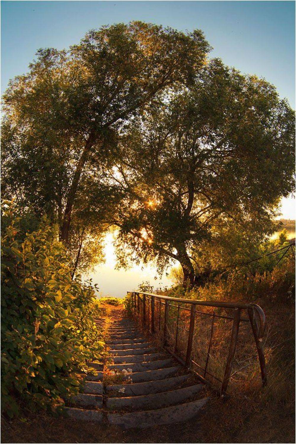 кыштым, Олег Астахов