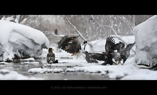 Бойцовский клуб