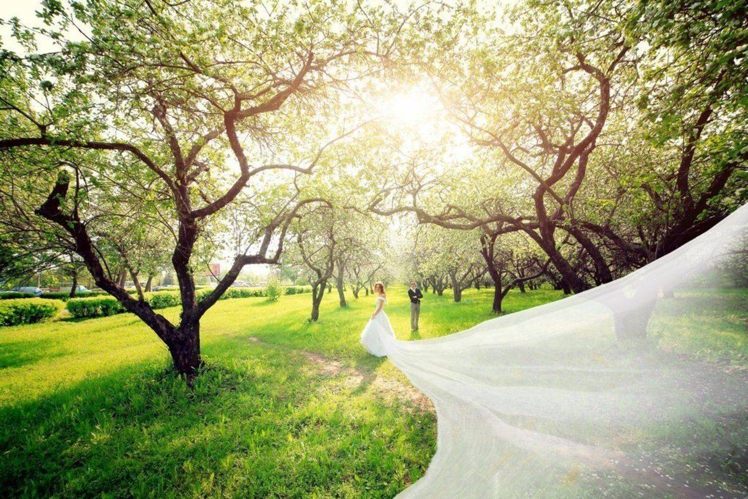 , Андрей Райский