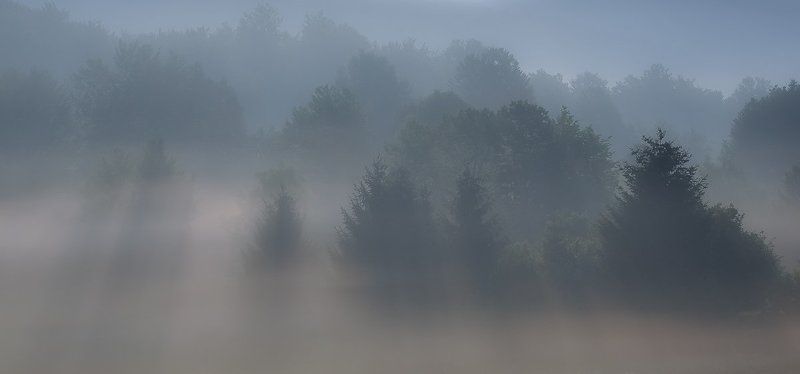 Туманное утро фото превью