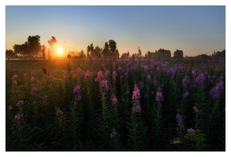 На рассвете фото превью