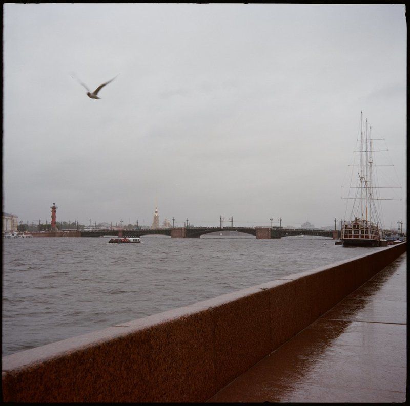 Вчера фото превью