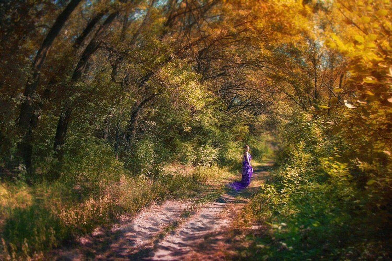 , Соломахин Сергей