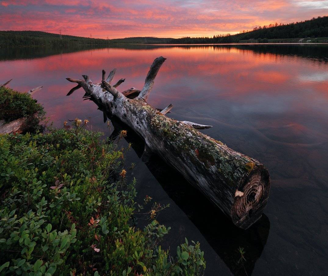 север, кольский, Roman Goryachiy