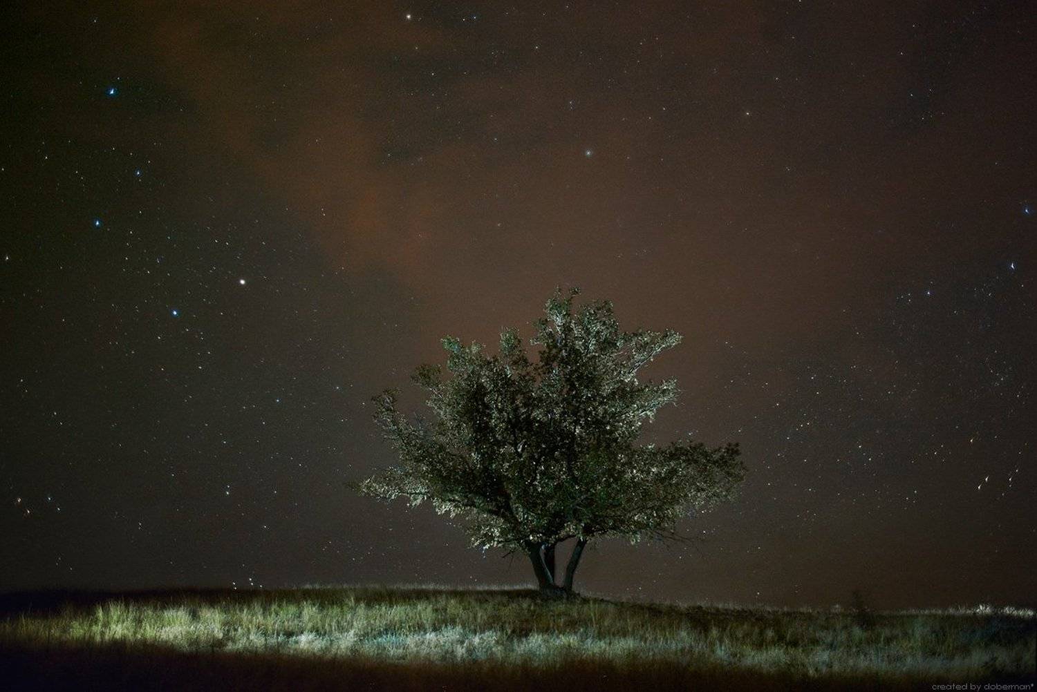 , Денис Богомолов