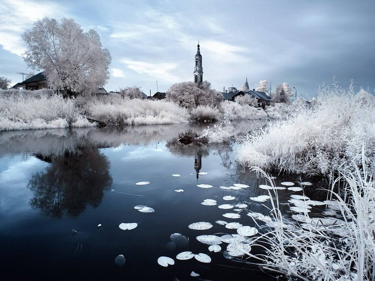 , Максим Евдокимов