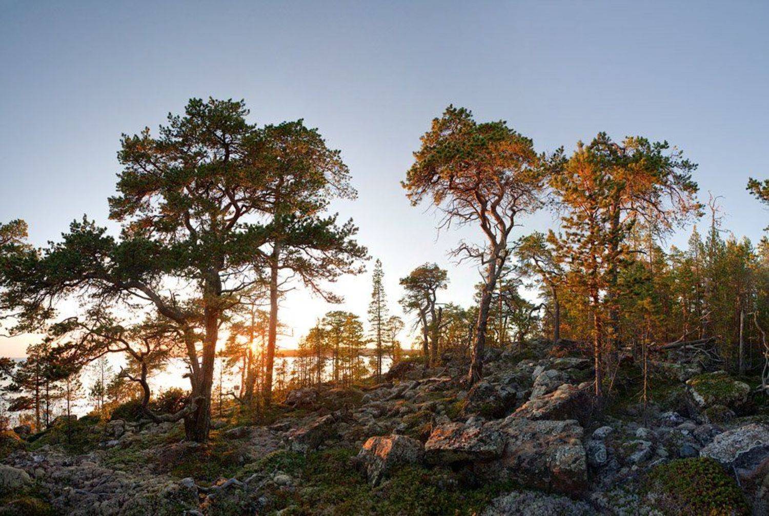 последние, лучи, Владимир Кириченко (vlkira)
