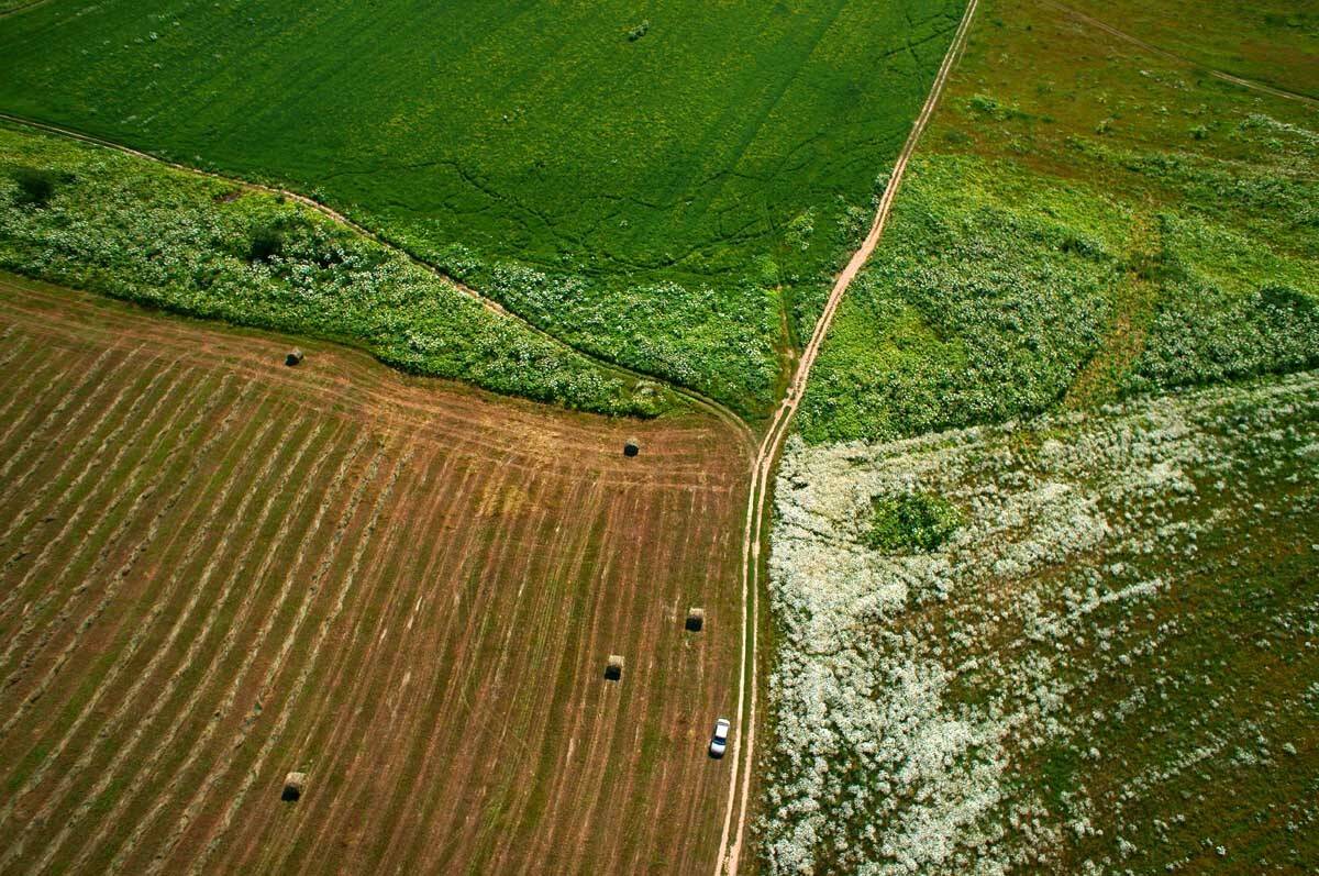 московская, область, Борис Резванцев