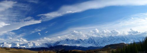 Под Курайским небом