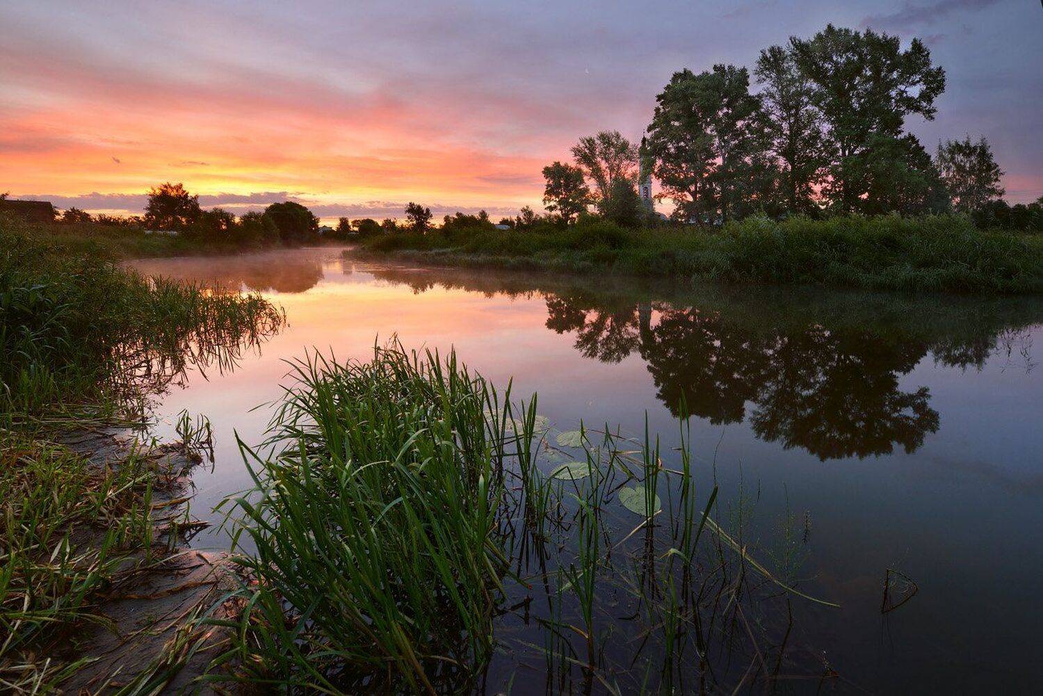, Максим Евдокимов