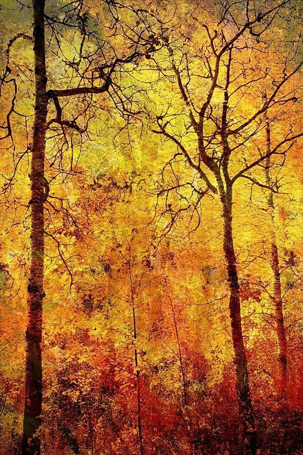 кузбасс, Гагик