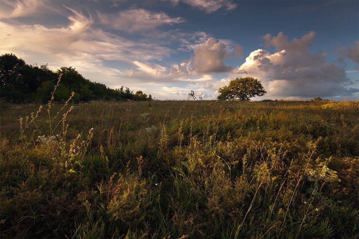 , Петр Антонович