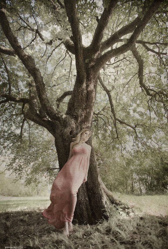 . фото превью