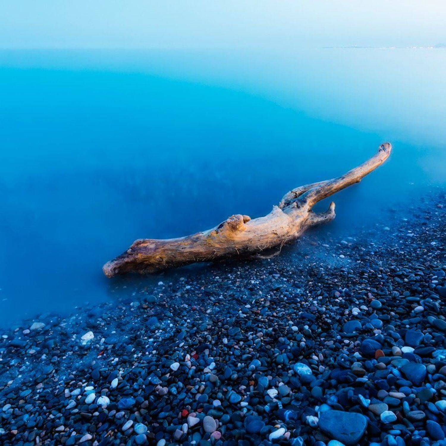 , Sergey Shaposhnikov