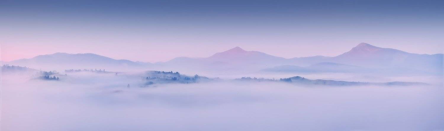 , Денис Кривой