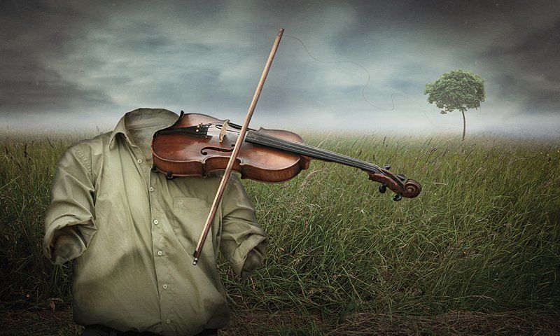 nature\'s music фото превью