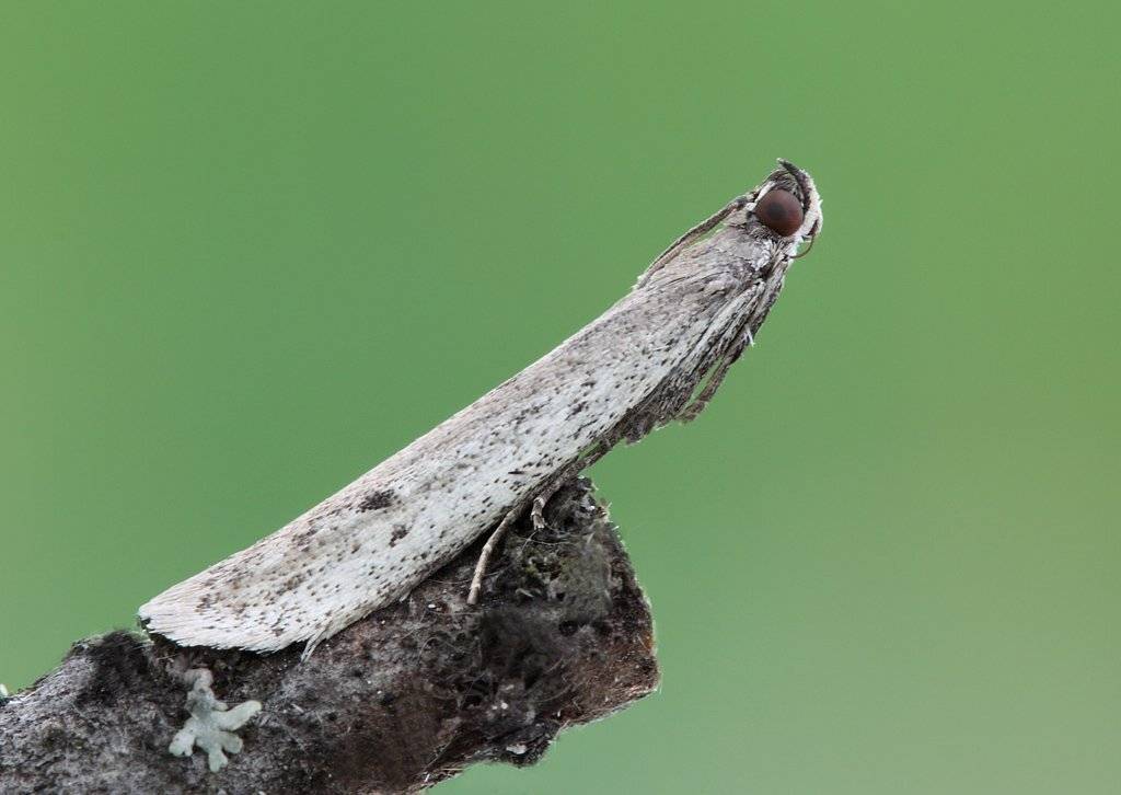 , Сергей Таланов