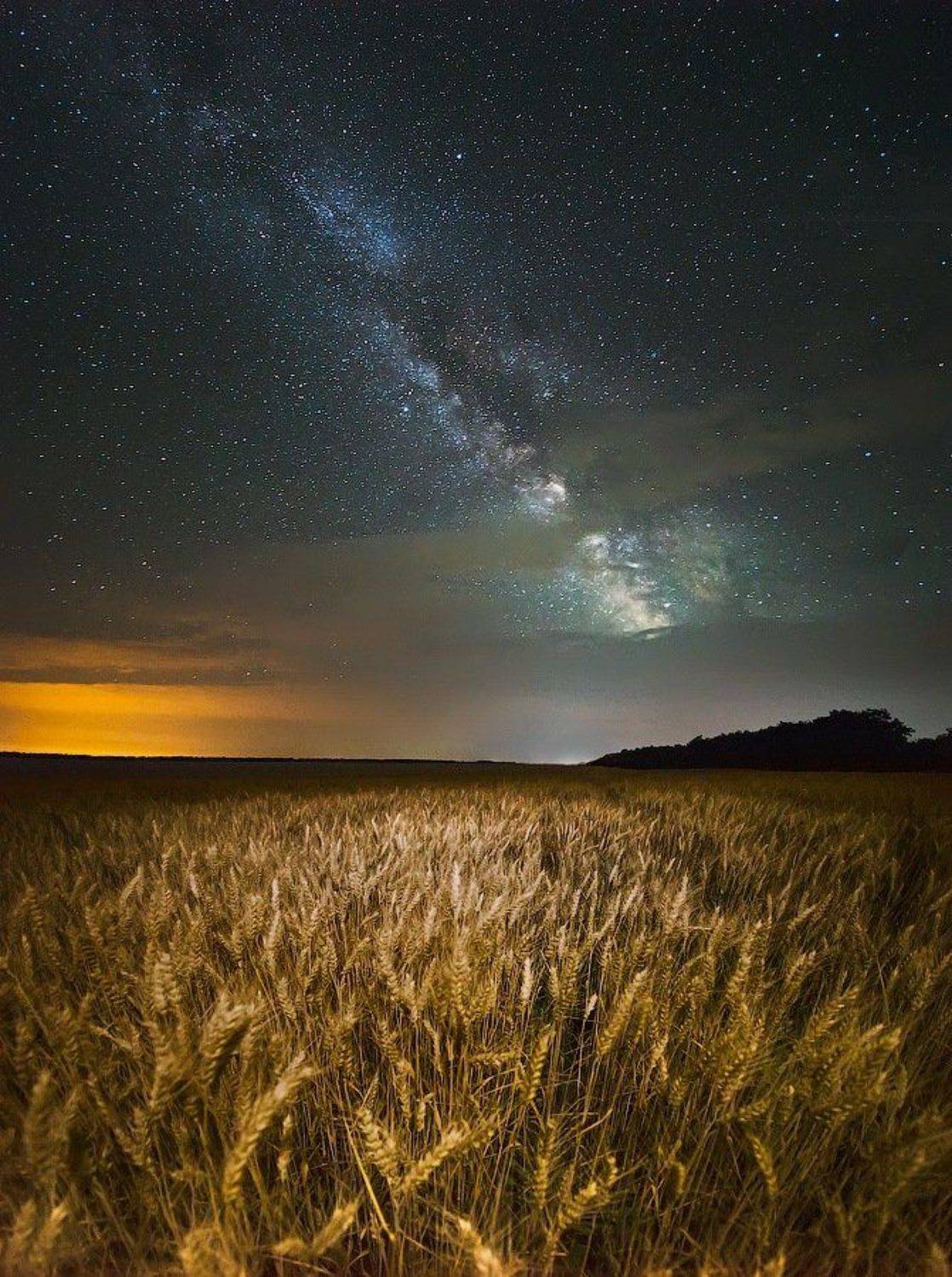 , Величко Владимир