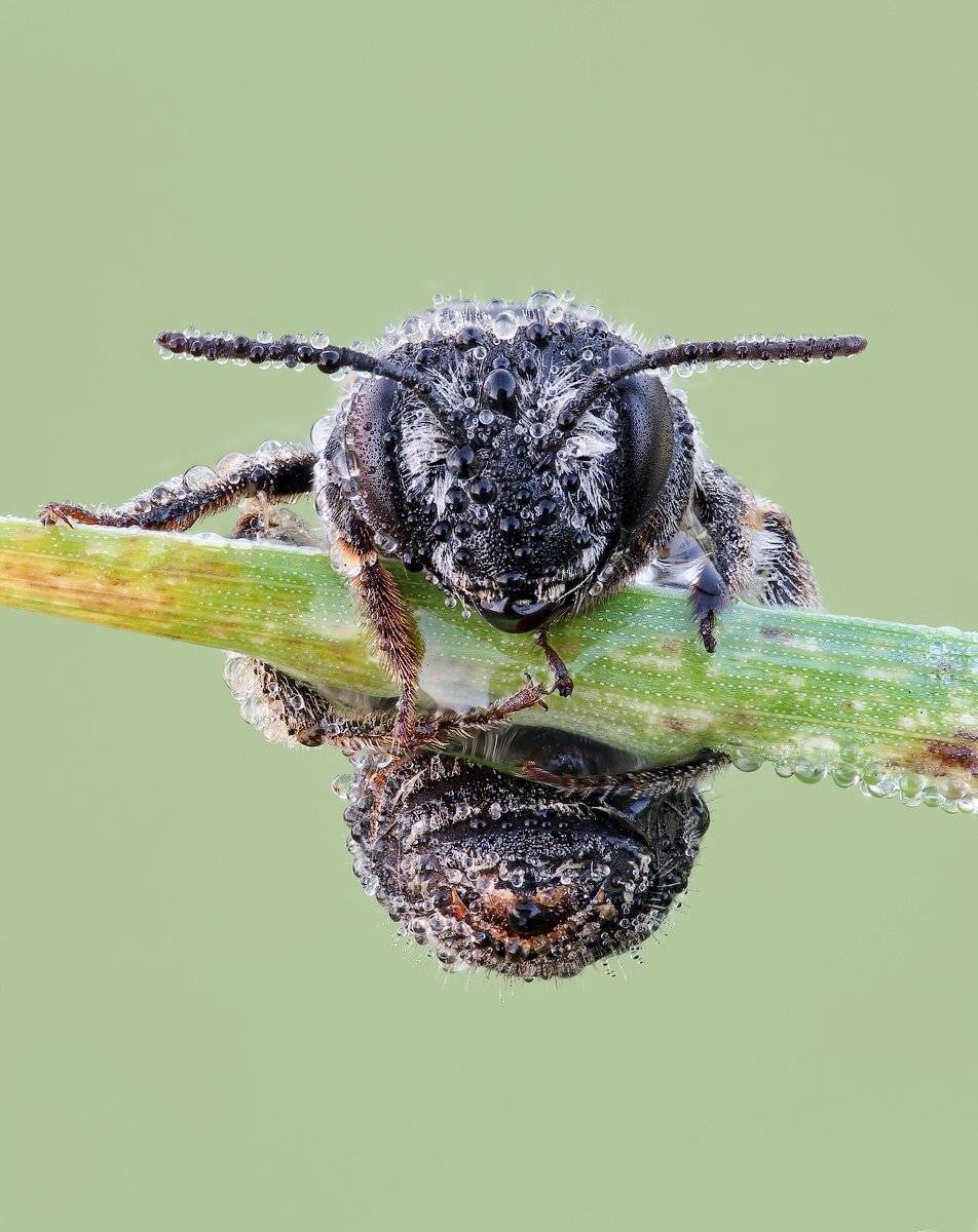 , Вадим Ходаковский