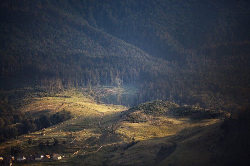 воловец, июнь, карпаты, лето Cвет над Воловцом фото превью