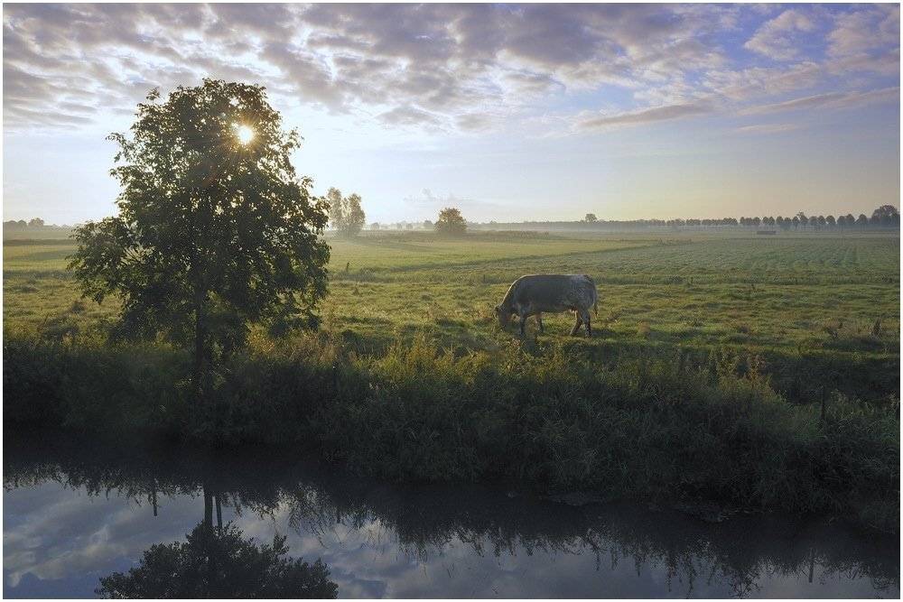 , Johny Hemelsoen