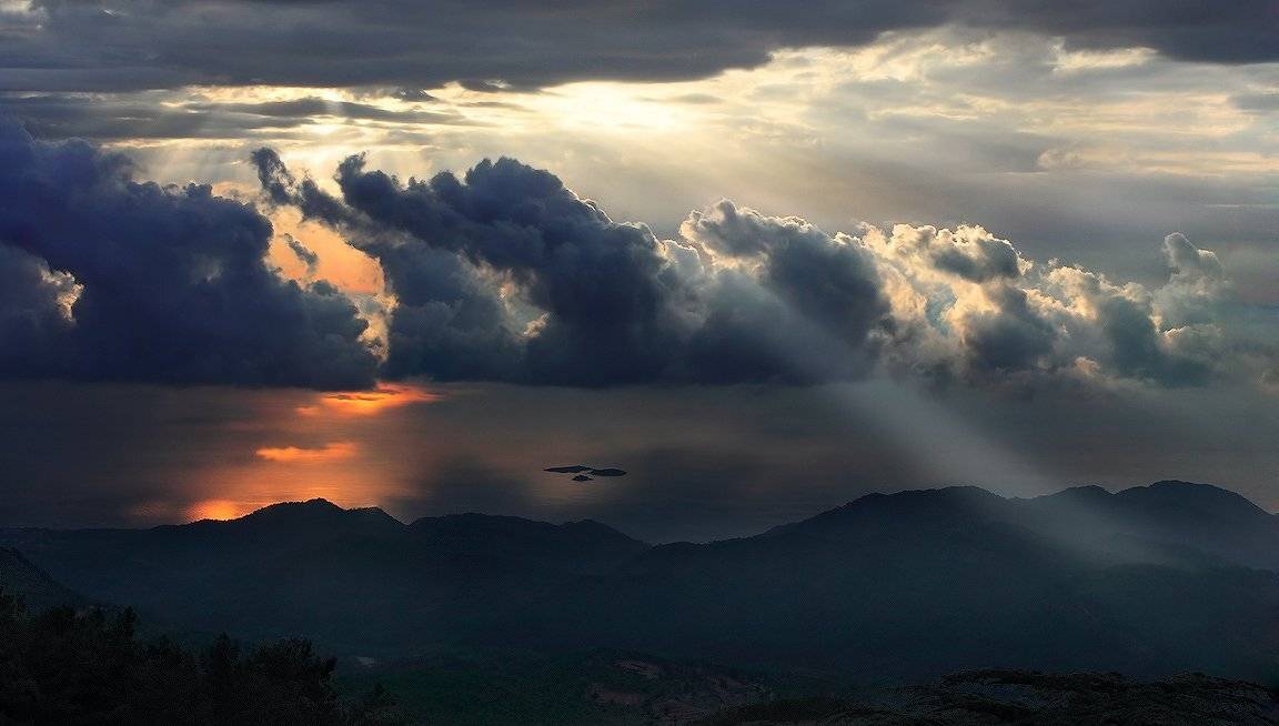 , Гамидов Мурад