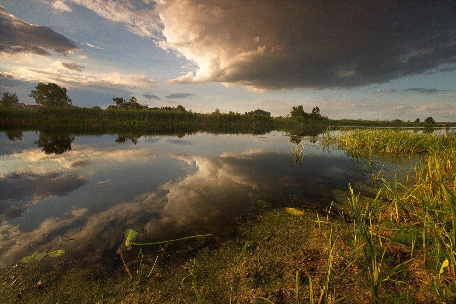 , Петр Антонович