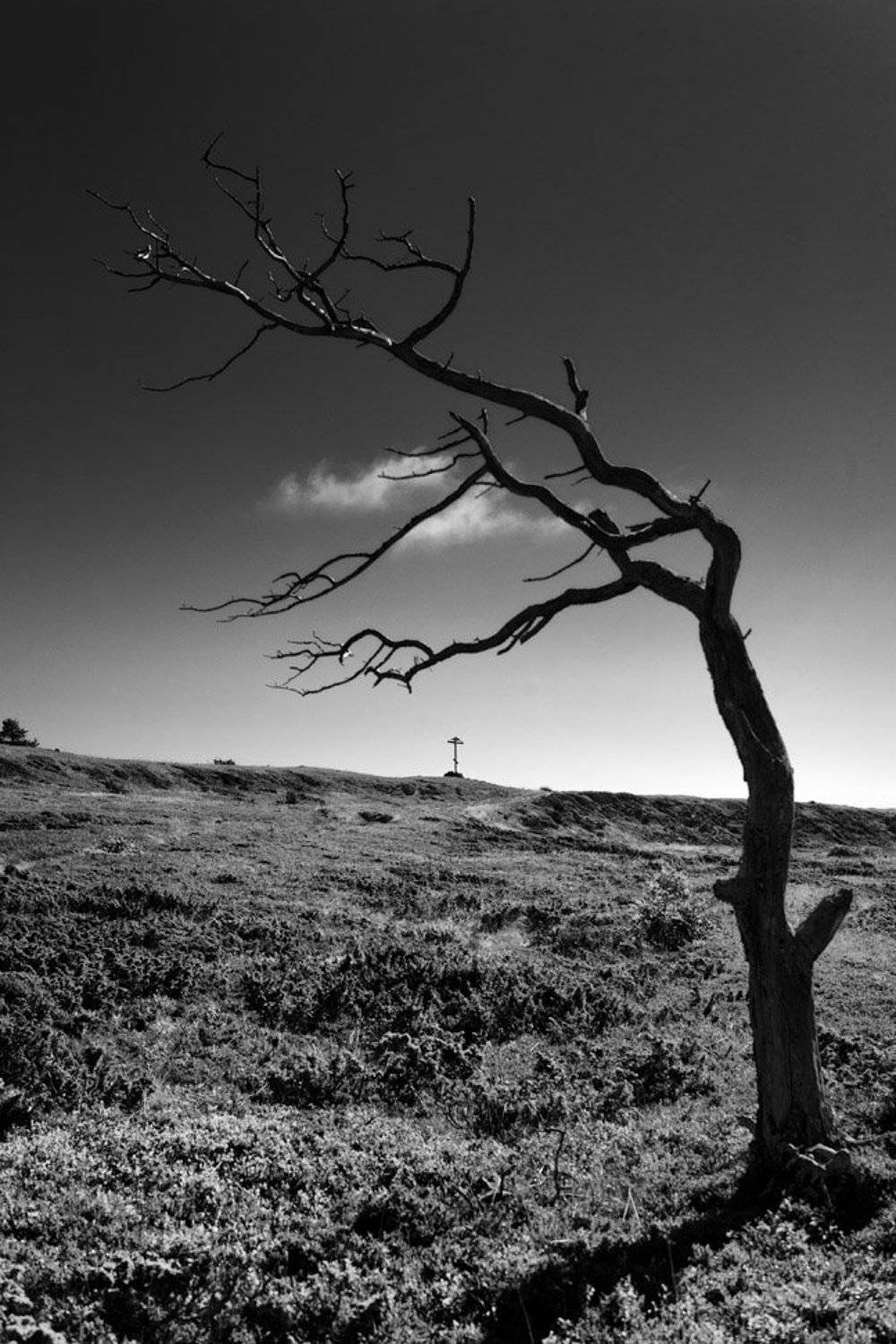 мёртвые, души, Владимир Кириченко (vlkira)