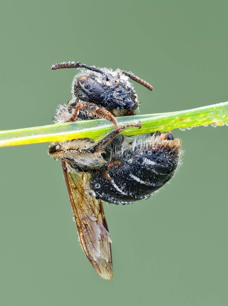 , Вадим Ходаковский