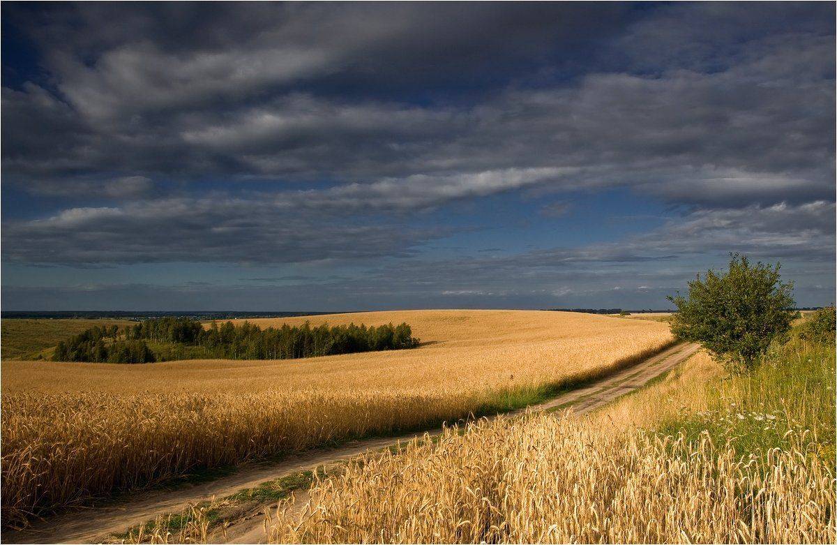 , Николай Шахманцир