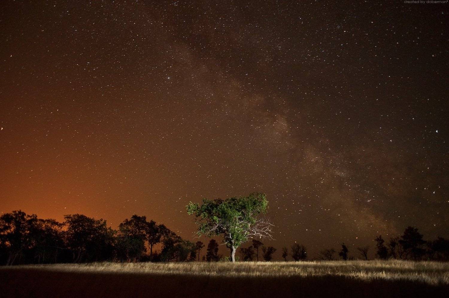 , Денис Богомолов