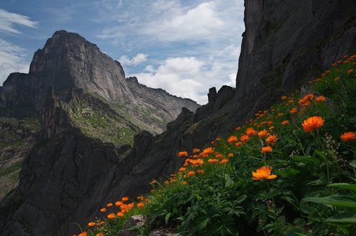 Жарки на перевале Птица