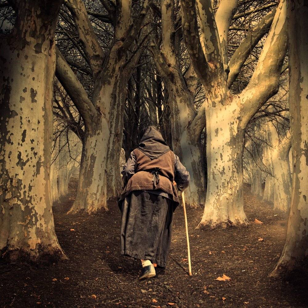 , Caras Ionut